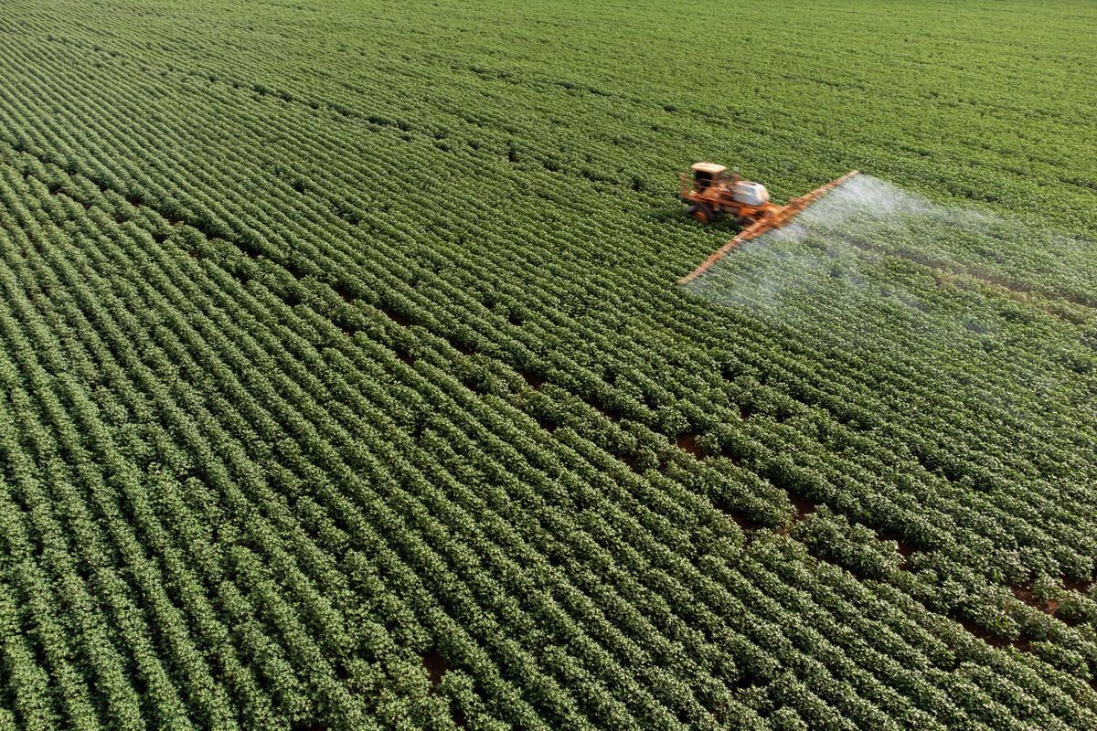 L’Italia è tra i primi esportatori europei di pesticidi il cui uso è vietato in UE