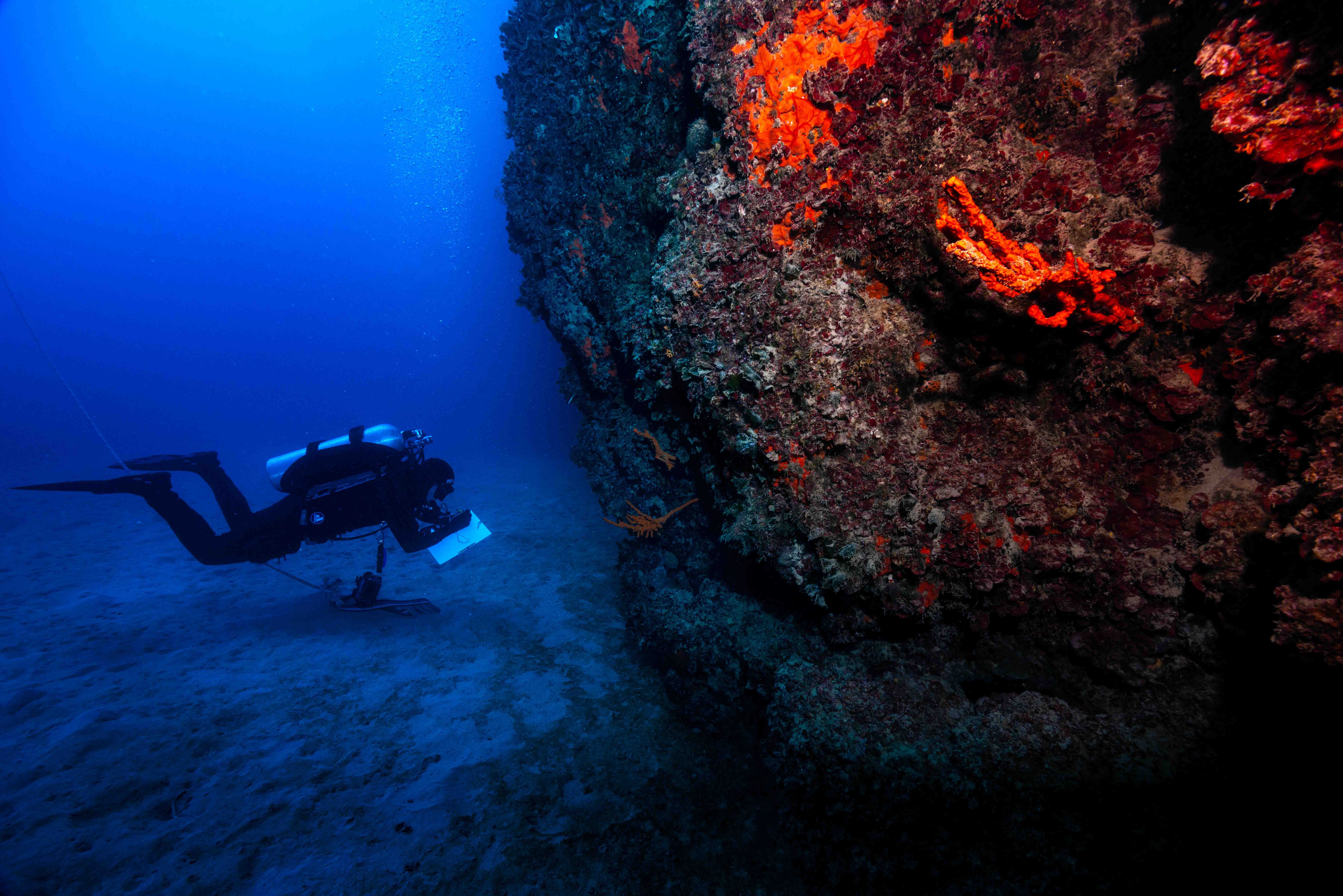Torre Guaceto, al via il monitoraggio degli habitat marini per sostenere l’ampliamento dell’area marina protetta