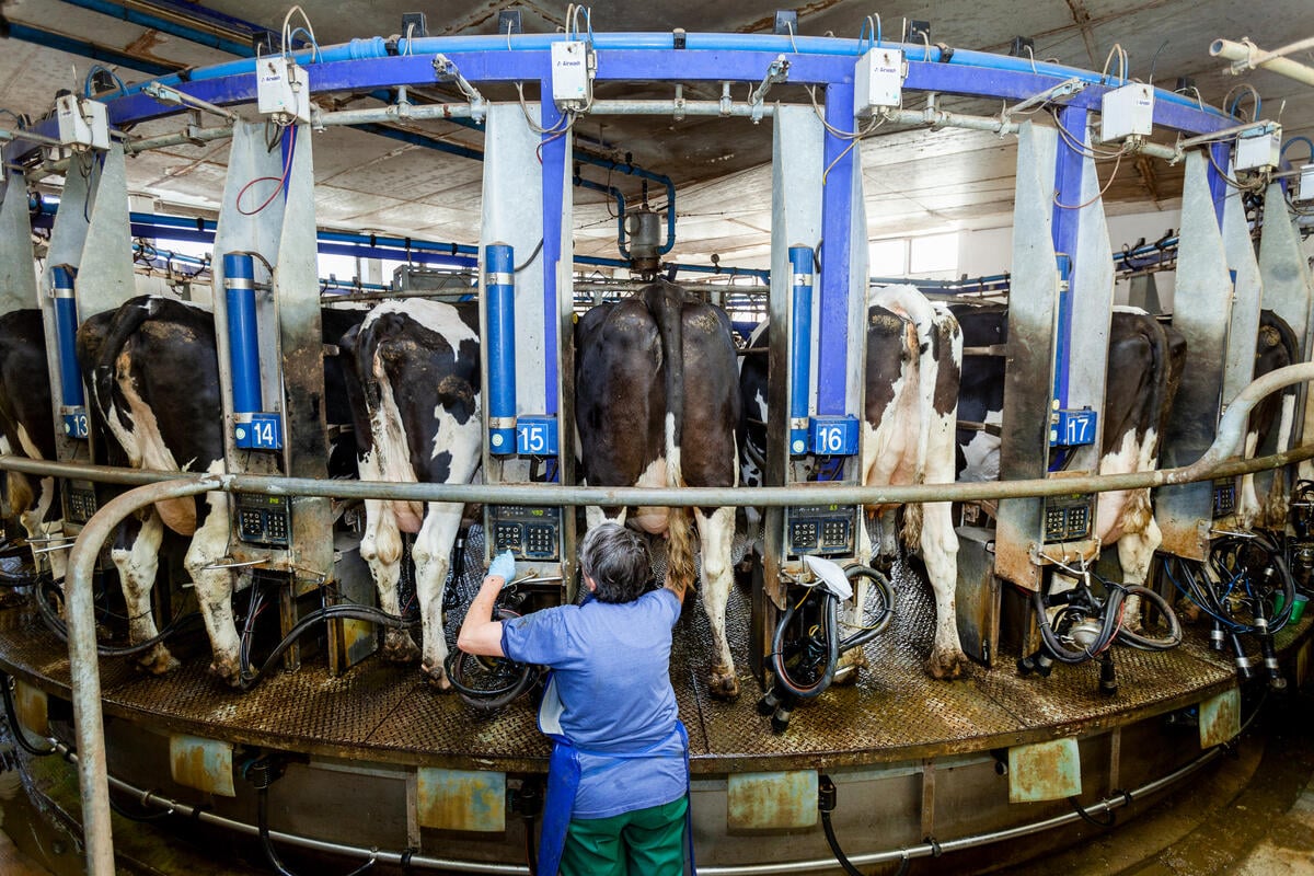 Agroalimentare, Greenpeace: «Le maggiori aziende di carne e latticini generano oltre un miliardo di tonnellate di emissioni gas serra»
