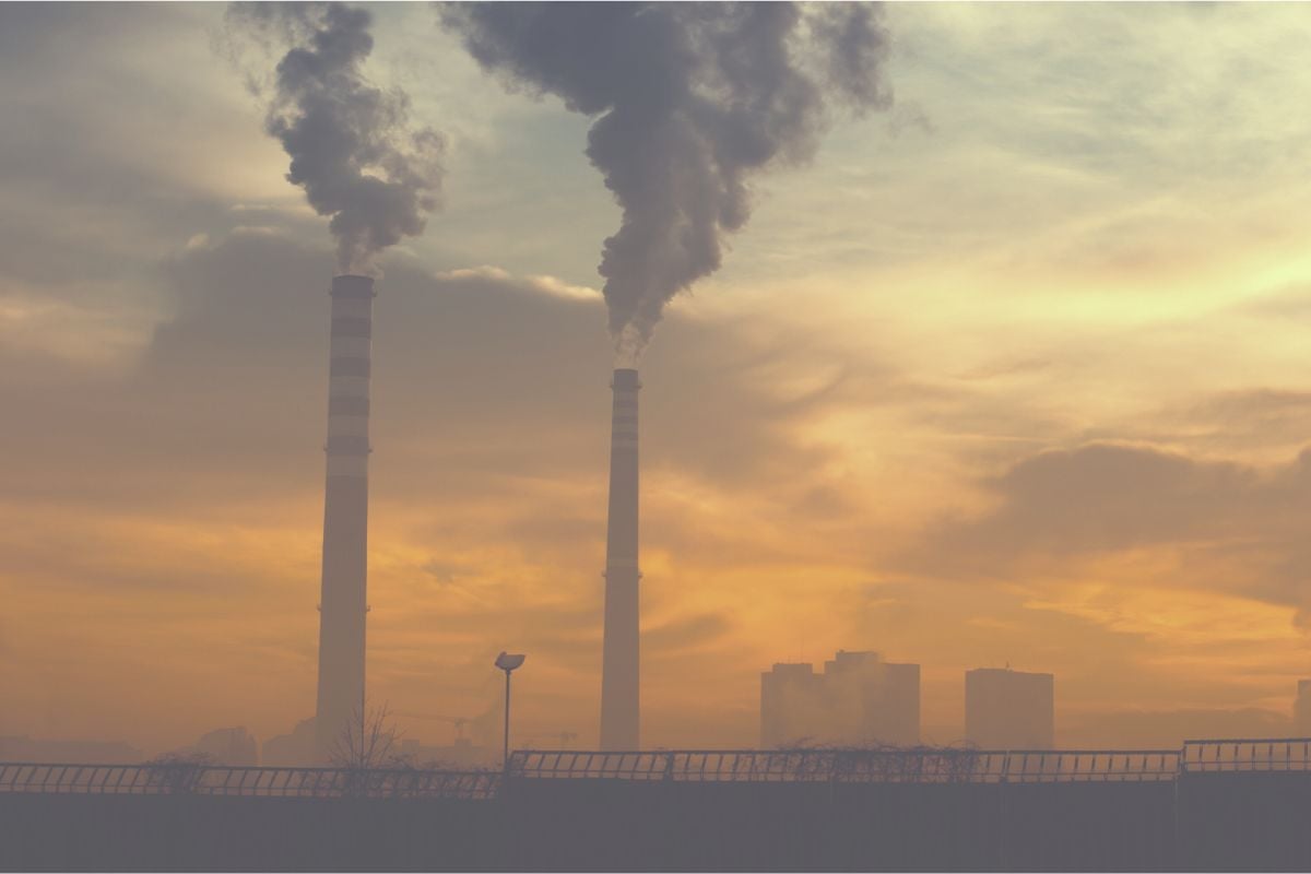 Non possiamo risolvere la crisi climatica senza produrre e consumare meno carne
