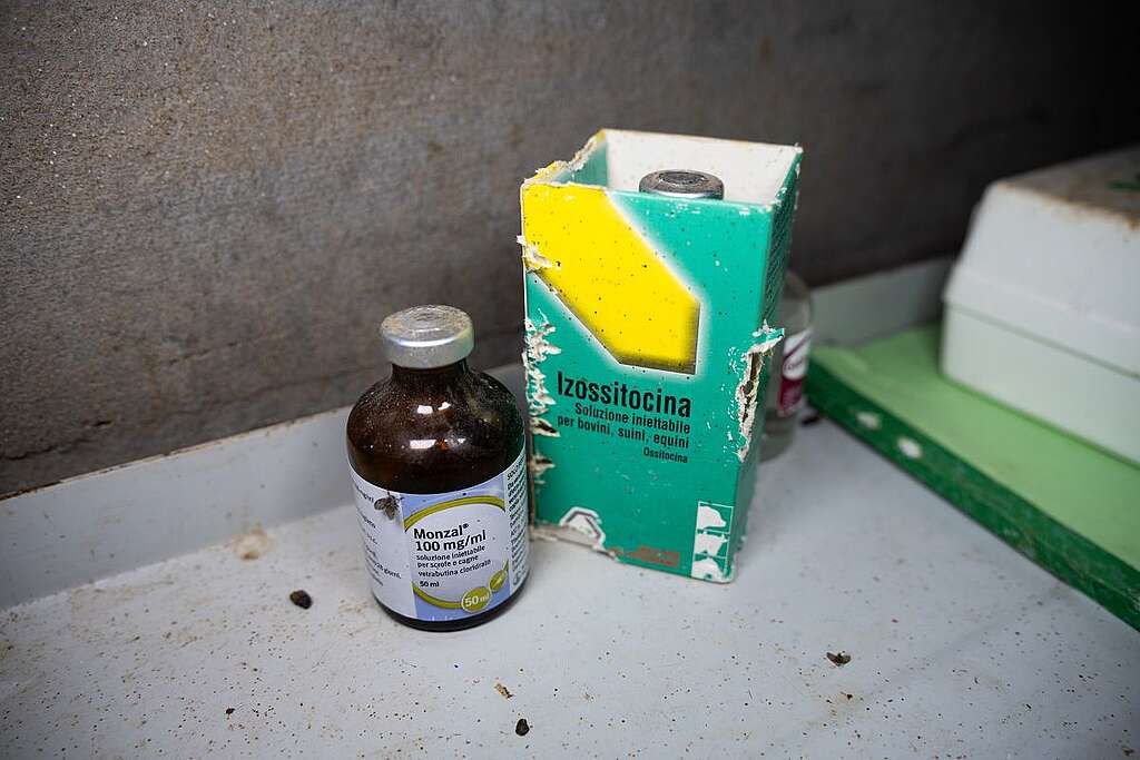 Farmaci ormonali a base di ossitocina, usati per facilitare il parto e produrre più latte, e anti-infiammatori (ketoprofene) trovati nell'allevamento Farmaci ormonali a base di ossitocina, usati per facilitare il parto e produrre più latte, e anti-infiammatori (ketoprofene) trovati nell'allevamento