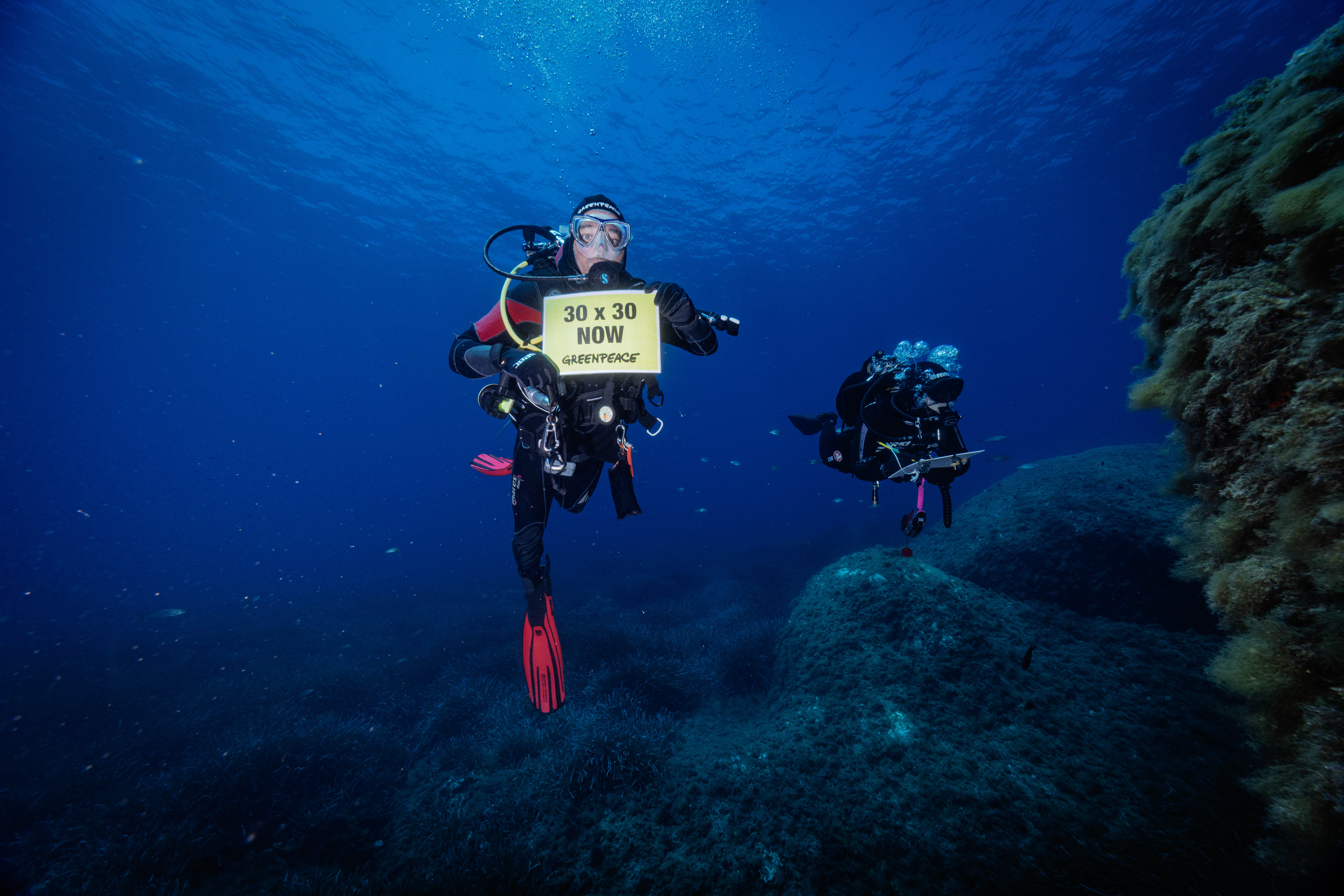 AMPower: Il progetto di Greenpeace e Blue Marine Foundation