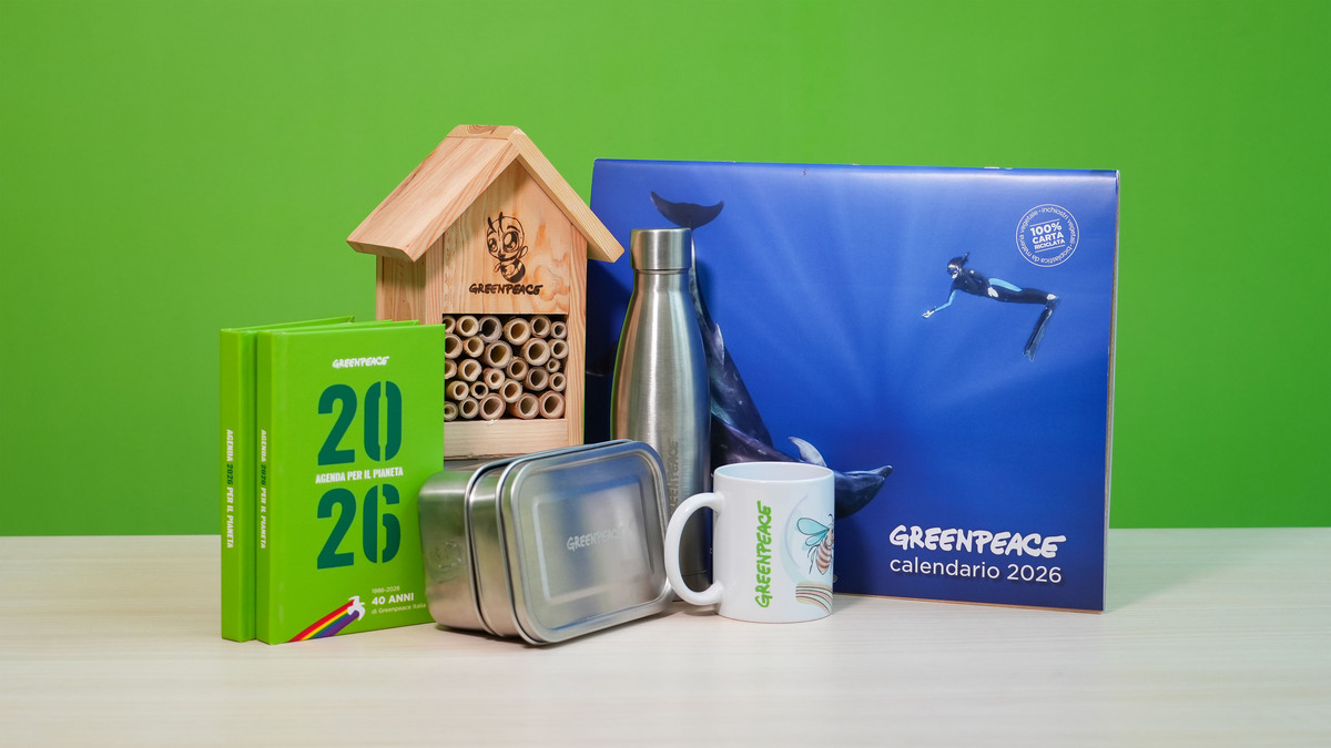 Regali solidali di Natale per un futuro sostenibile