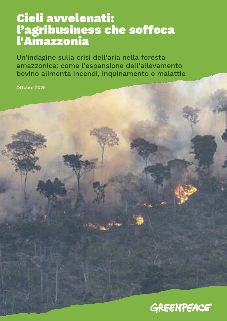 Cieli avvelenati: l’agribusiness che soffoca l’Amazzonia