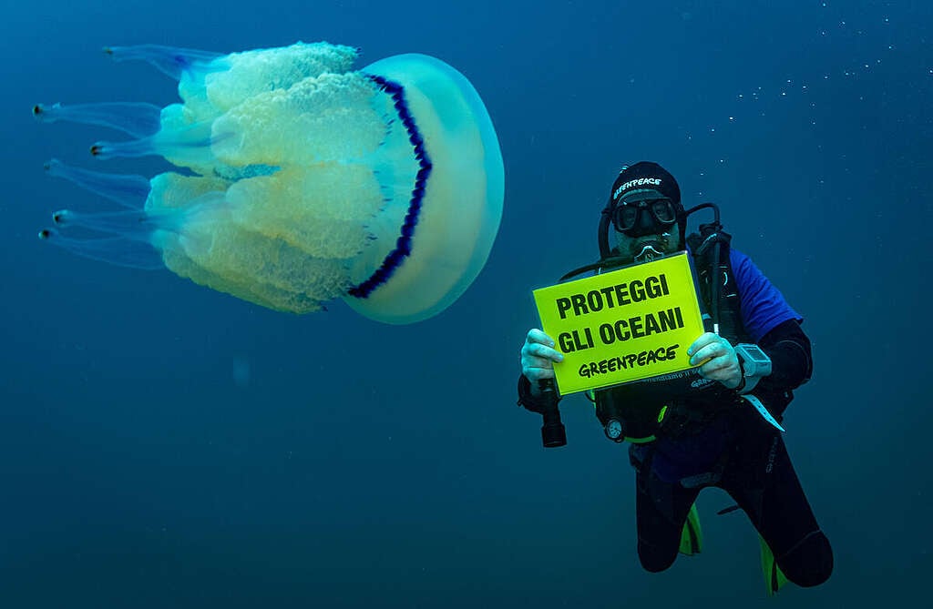 Attività subacqueo di Greenpeace tiene in mano un cartello con scritto "Proteggi gli oceani". Davanti a lui, nuota una grande medusa bianca.
