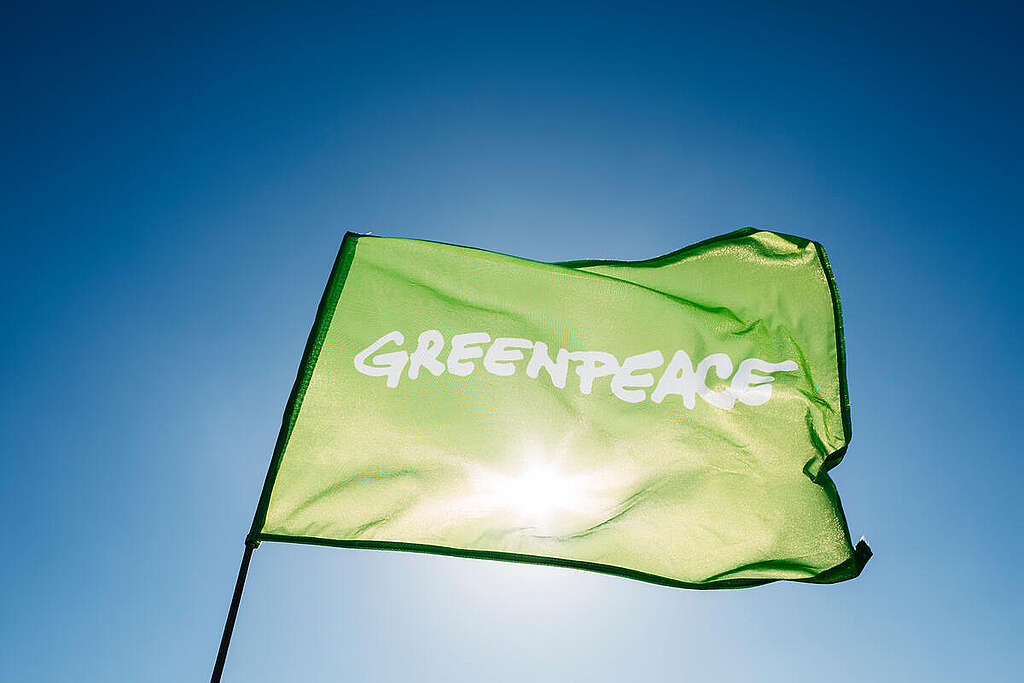 La bandiera verde di Greenpeace sventola nel cielo con il sole sul retro che la illumina