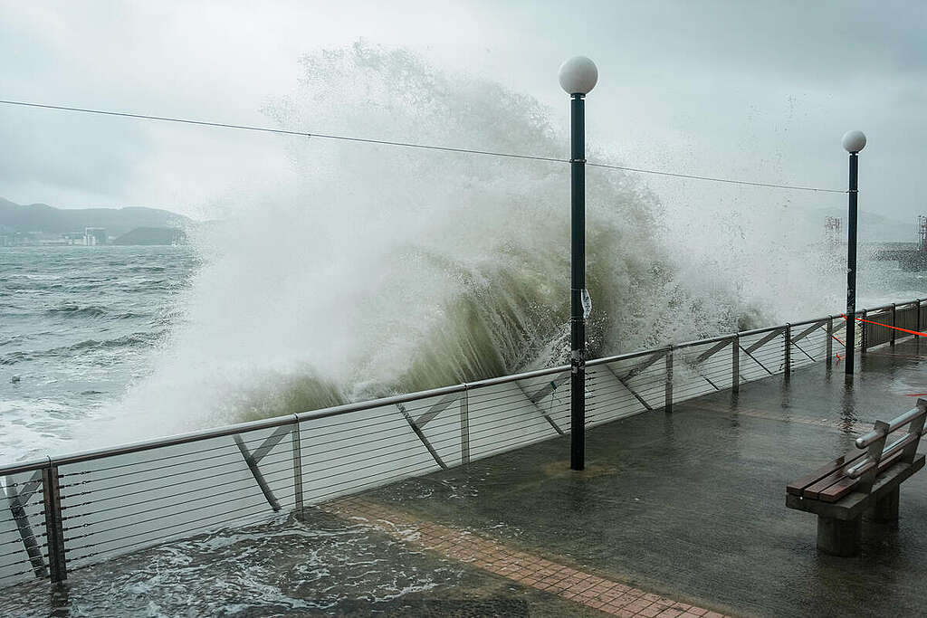 Typhoon Tropical Storm Wipha - T10 Hurricane Warning in Hong Kong. © Greenpeace Typhoon Tropical Storm Wipha - T10 Hurricane Warning in Hong Kong. © Greenpeace