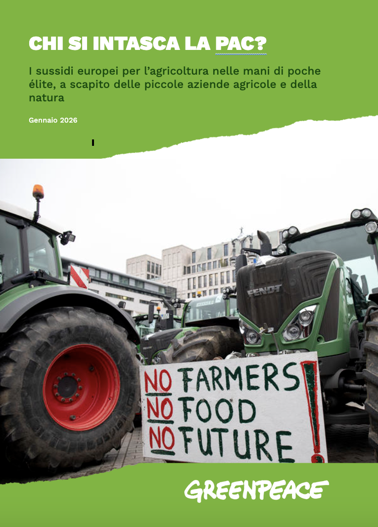 Chi si intasca la PAC?