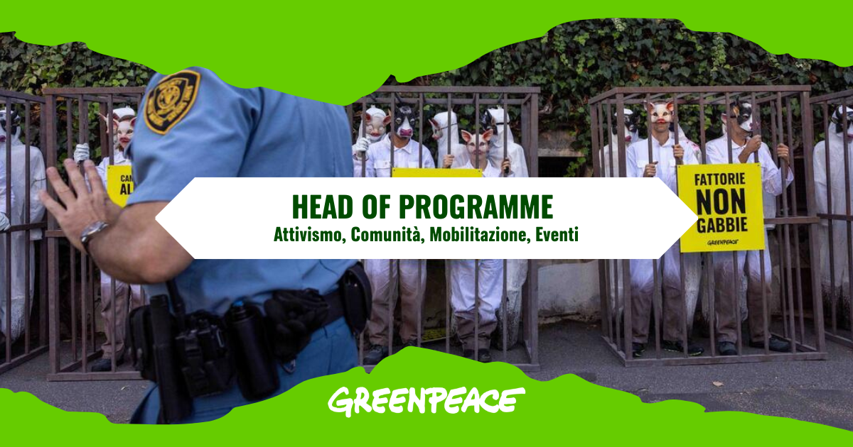 Head of Programme ACME (Attivismo, Comunità, Mobilitazione, Eventi)