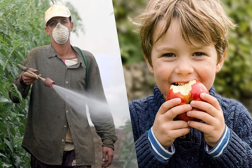 Operatore agricolo spruzza pesticidi su colture affiancato all’immagine di un bambino che mangia una mela