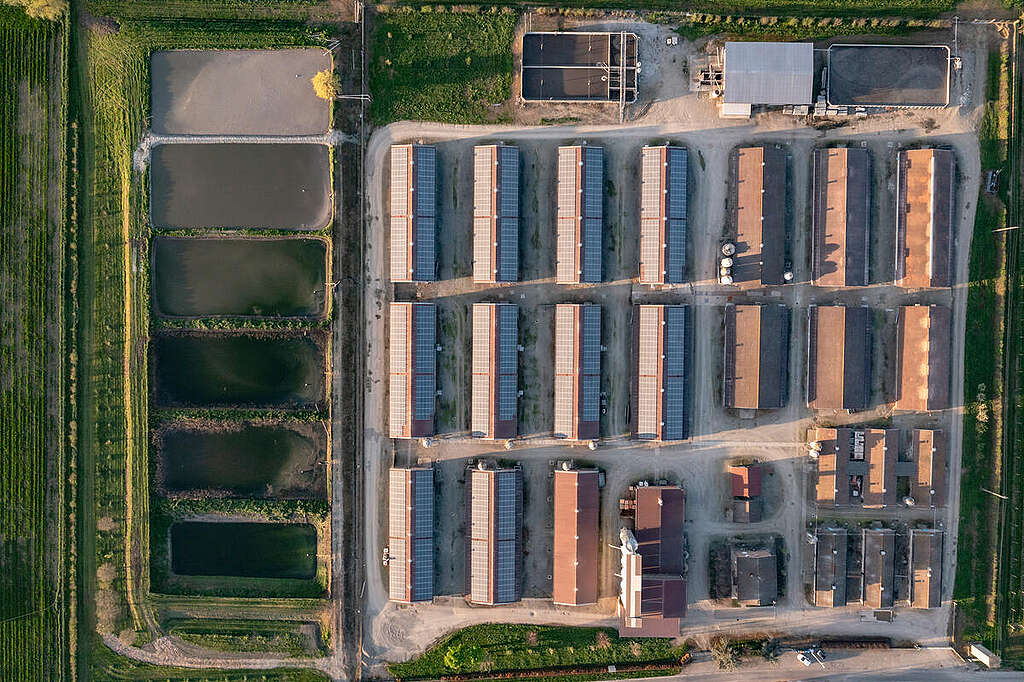 Una veduta aerea di un allevamento intensivo a Baggiovara (Modena), in Italia.