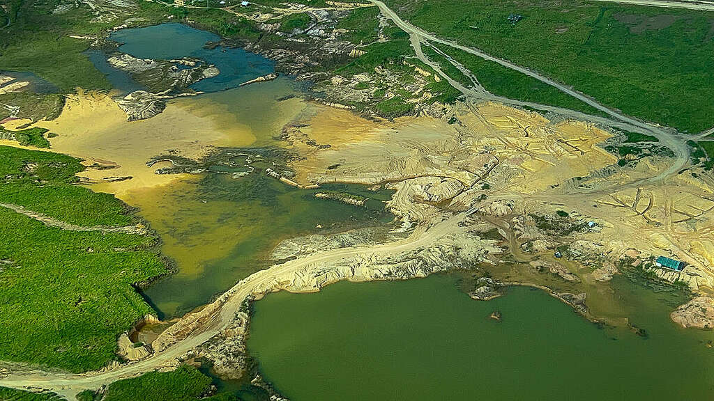 Activists Expose Vast Illegal Mining Operations in and around Rio Novo National Park, Pará
Greenpeace Brasil revela extensa área de garimpo ilegal no entorno do Parque Nacional do Rio Novo, no Pará