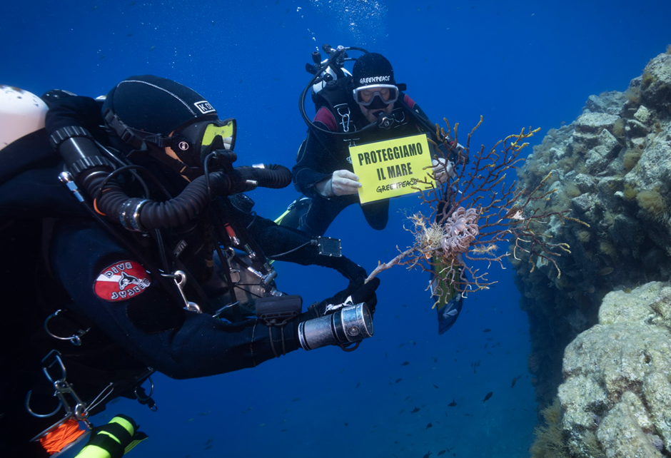 Ponte sullo Stretto, Greenpeace: «Troppe forzature per una inutile colata di cemento che minaccia ambiente e democrazia»