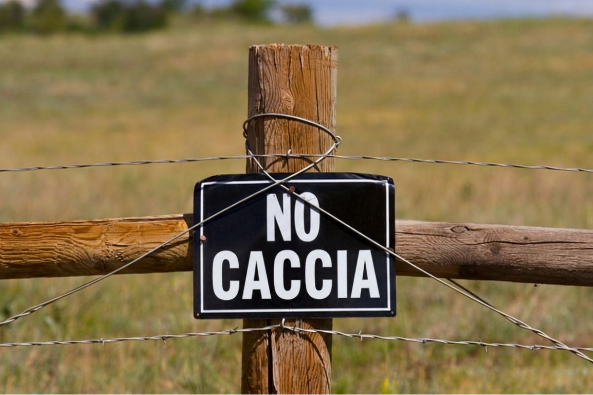 Incendi e caldo estremo, le associazioni ambientaliste a Occhiuto: «Stop alla preapertura della caccia»