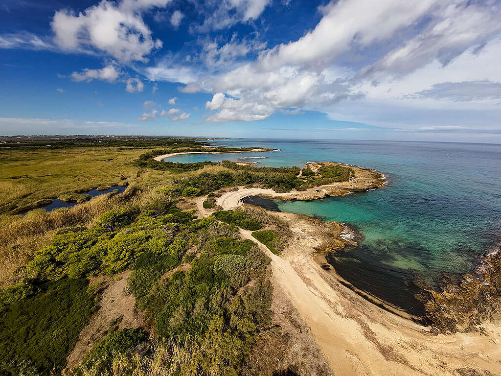 Documentation and Scientific Survey in Puglia, Italy Vista panoramica di Torre Guaceto in Puglia.
