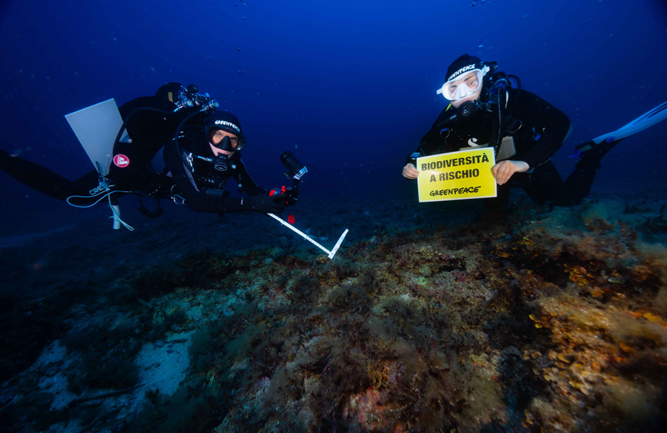 Pesca a strascico e sversamenti illegali scoperti in diversi siti marini protetti italiani, svela indagine di Greenpeace nella Giornata del Mediterraneo