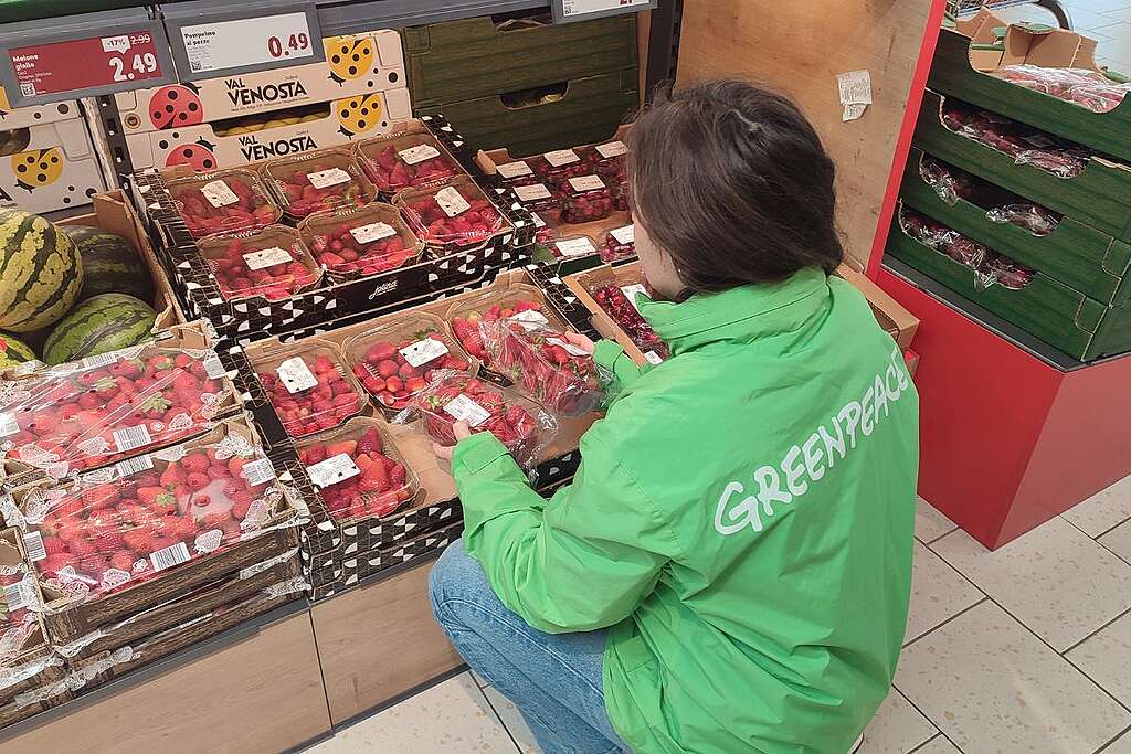 5-pesticidi-fragole-greenpeace