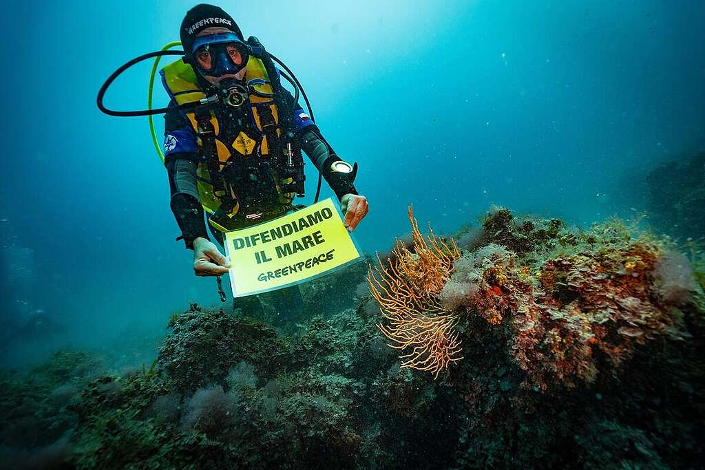 Underwater Banner in Torre Guaceto, Puglia Sub di Greenpeace regge sottacqua un cartello che recita “Difendiamo il mare”.