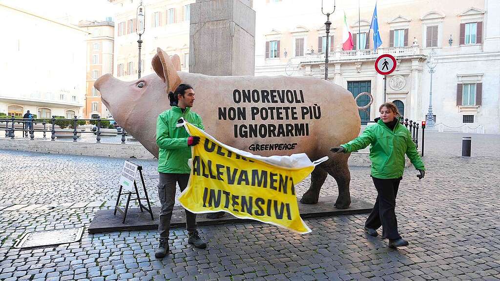6506636e-maiale-gigante-parlamento-greenpeace