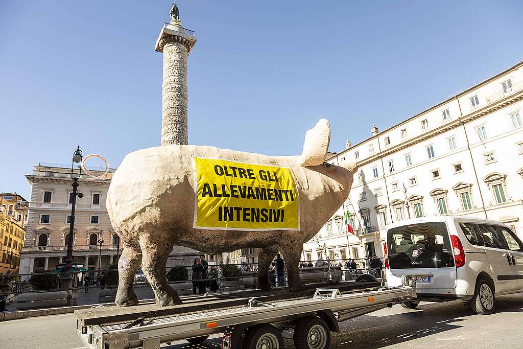 Allevamenti_22022024_1