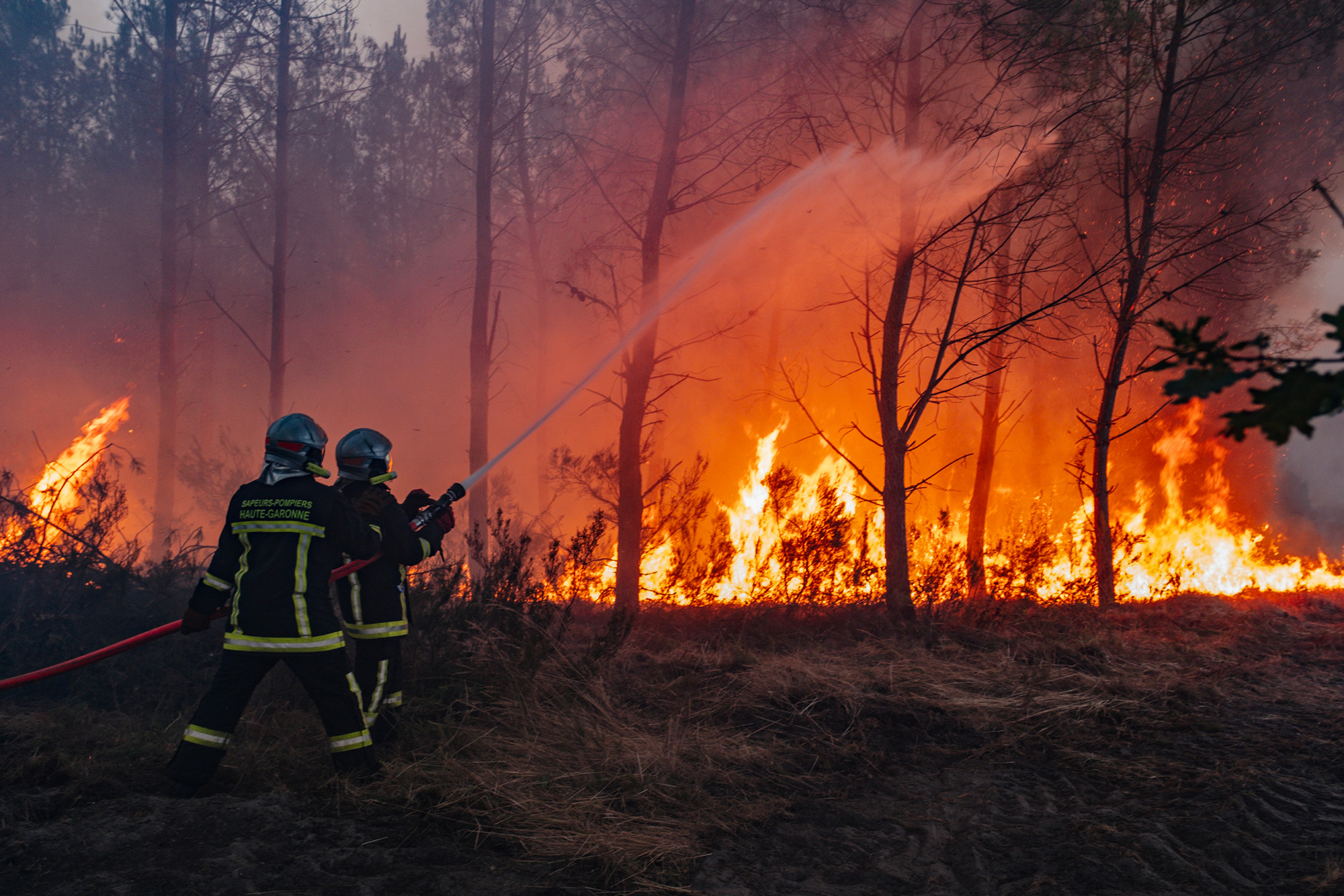 Incendi in Francia e Spagna resi più probabili dalla crisi climatica. Greenpeace: «Occorre tassare le aziende fossili per finanziare la transizione energetica»