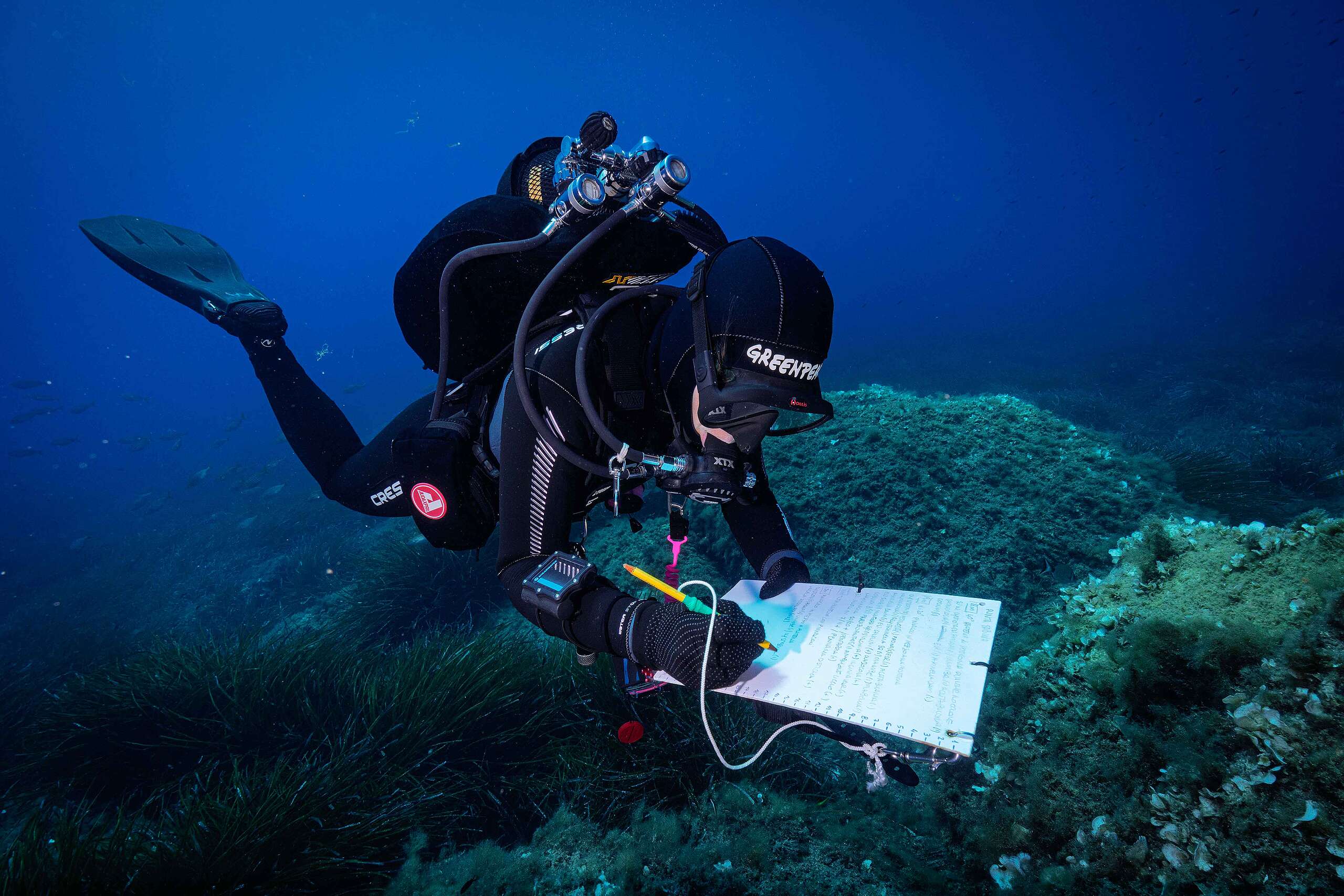 Report annuale Mare Caldo (dati 2025)