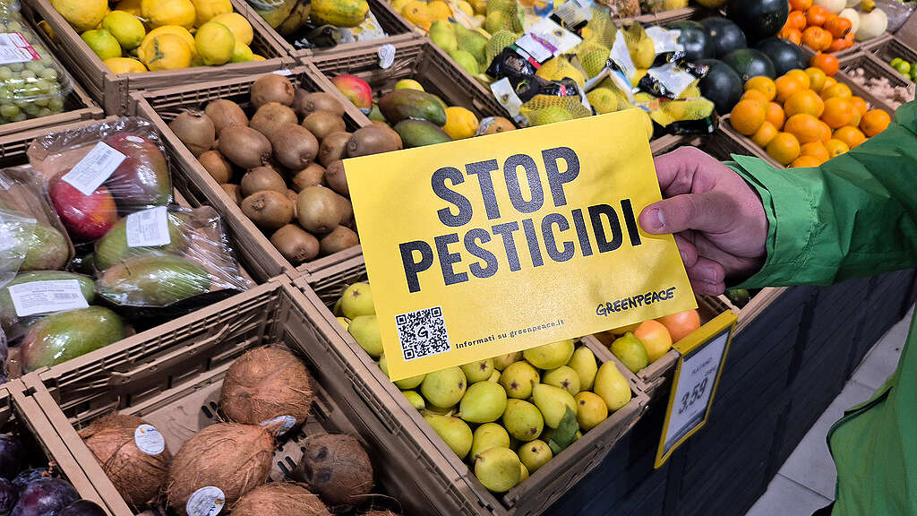 Pesticidi_GP_17 (1)