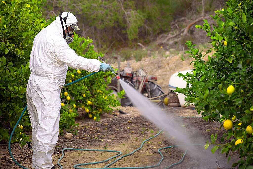 1-pesticidi-greenpeace Un uomo in tuta bianca e maschera sparge pesticidi su una pianta di limone