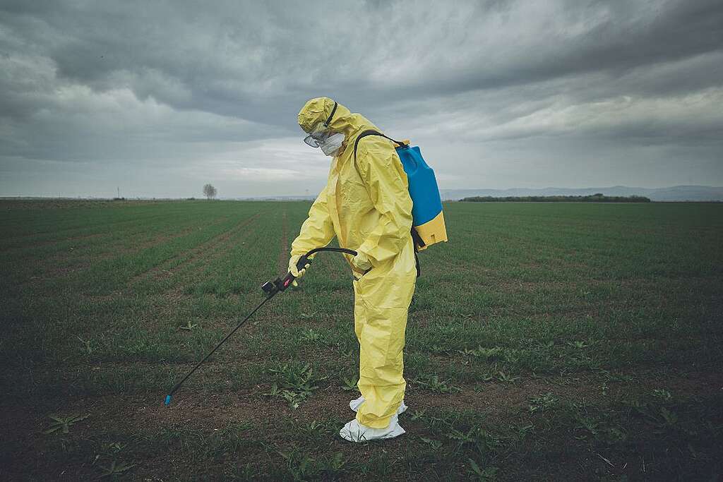 2-pesticidi-greenpeace Un uomo in tuta gialla e maschera sparge pesticidi in un campo