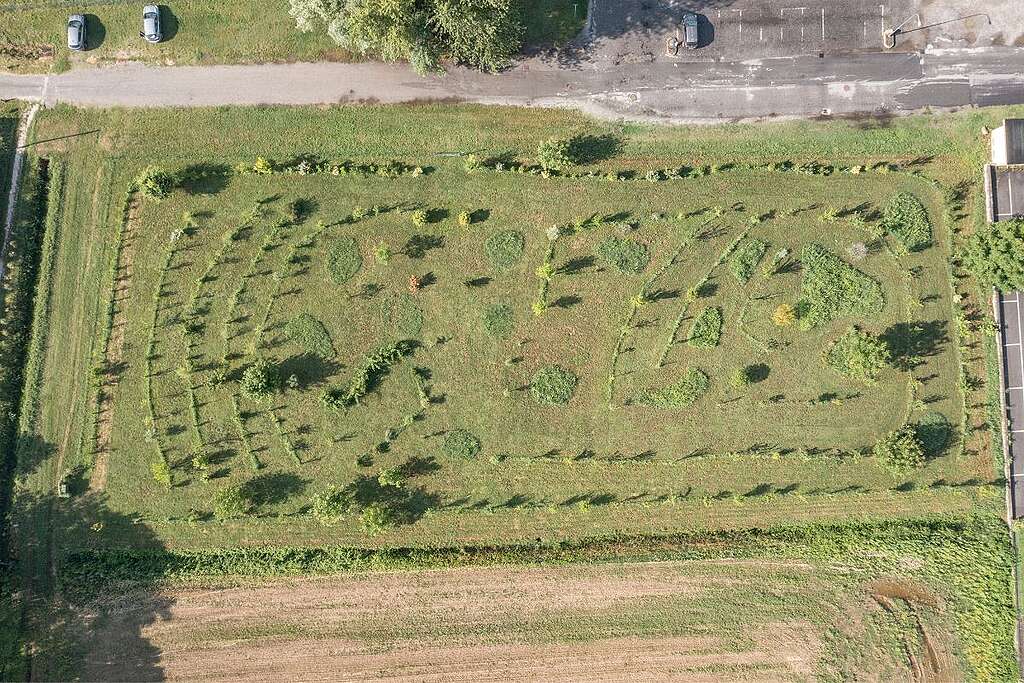 6-bosco-api-cremona-greenpeace