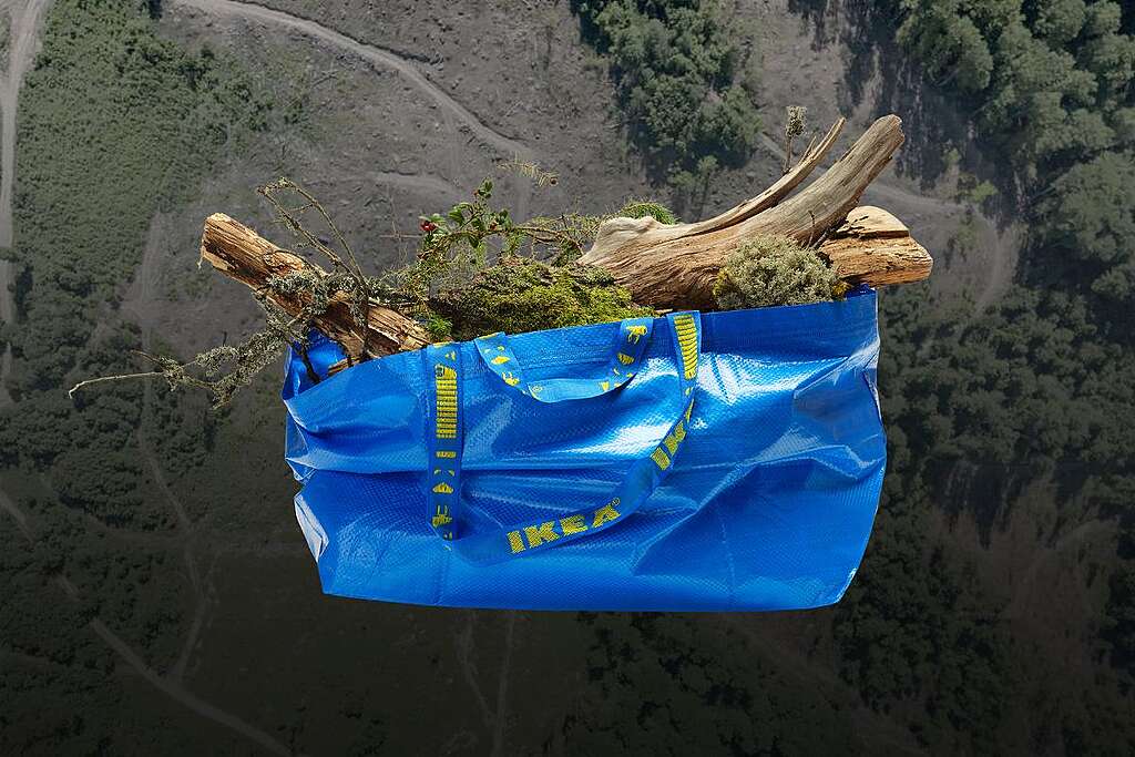 ikea-deforestazione Una busta azzurra di Ikea con dentro del legname. Sullo sfondo, un'area disboscata nel distretto forestale di Rusca Montană, nei Carpazi rumeni.