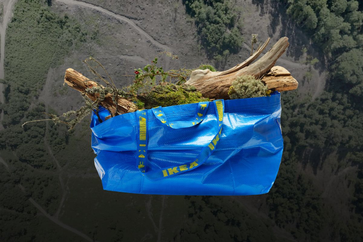 Ikea si rifornisce da chi distrugge le foreste