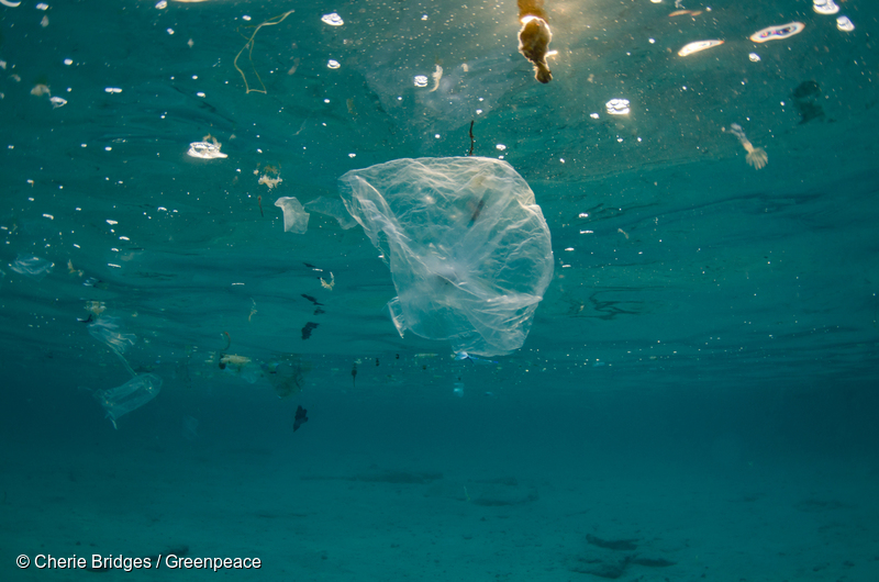 G7開幕へーープラスチック汚染の危機に終止符を、世界中の市民がG7とグローバル企業に呼びかけ