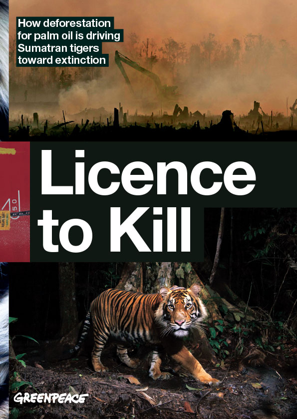 レポート 絶滅許可証 スマトラトラを絶滅に追い込む パーム油産業の森林破壊 英語名 Licence To Kill How Deforestation For Palm Oil Is Driving Sumatran Tigers Toward Extinction 国際環境ngoグリーンピース