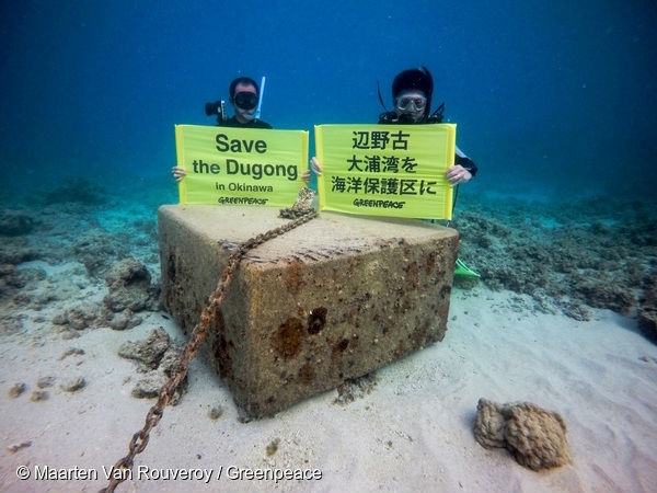 結局のところ、辺野古では何が起きているのか？ - 国際環境NGOグリーンピース