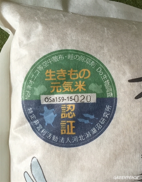 田んぼの生きもの調査をしています 国際環境ngoグリーンピース