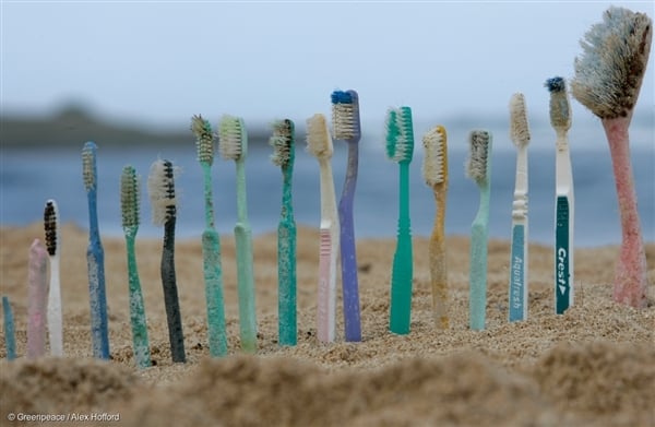 Plastic toothbrushes are lined up on Kahuku beach, Hawaii. 26 Oct, 2006, © Greenpeace / Alex Hofford