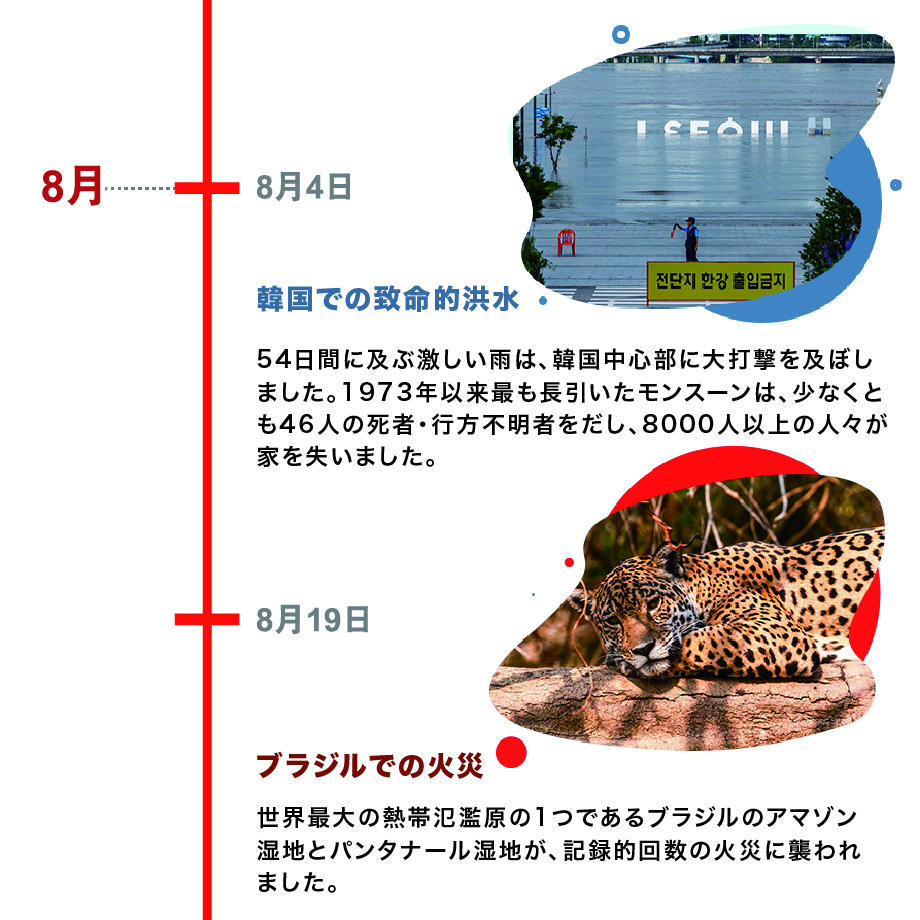 年 21年に起きた世界の気候危機 国際環境ngoグリーンピース 年 21年に起きた世界の気候危機 国際環境ngoグリーンピース