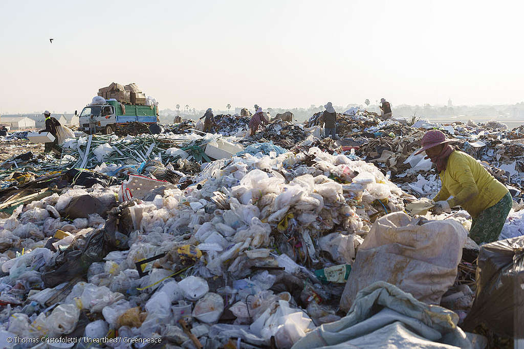 精神的健康への影響