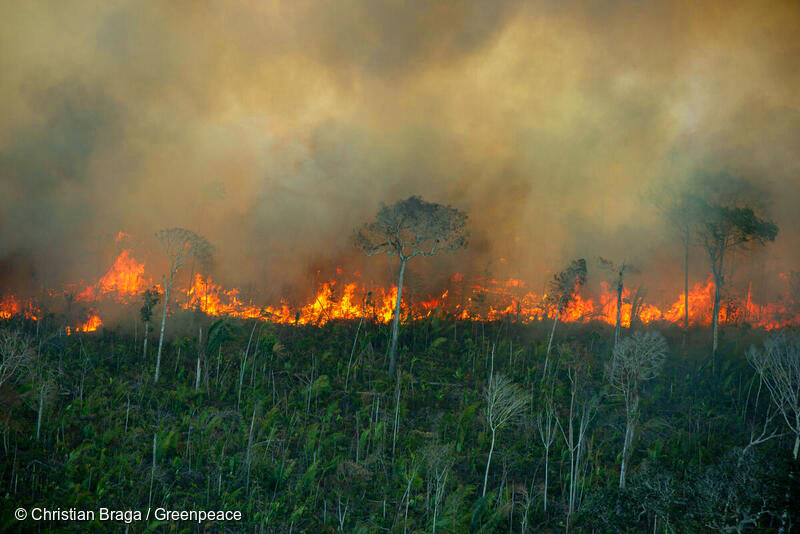 2011年、ブラジル、ロンドニア州ポルト・ヴェーリョの火災。