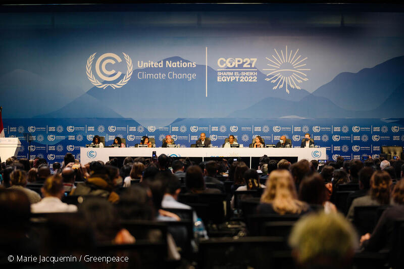 グリーンピース、Climate Action NetworkなどのNGOが、COP27で開催した市民会議で、気候変動によって
最も深刻な影響を受ける国や地域のための基金の設立を呼びかけた。