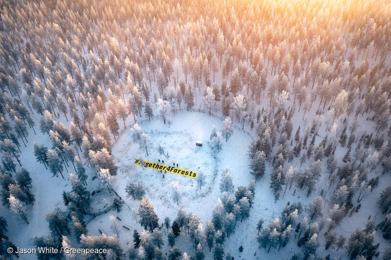 スウェーデンでは、林業による森林破壊の影響を強く受けているサーミ族の村、パヤラ自治体のムオニオ・サメビでデモが行われた。