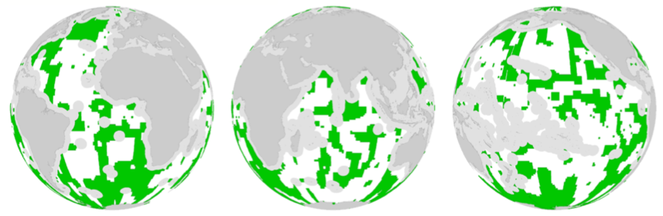 海洋保護区で、世界中の海にネットワークが広がるシナリオ