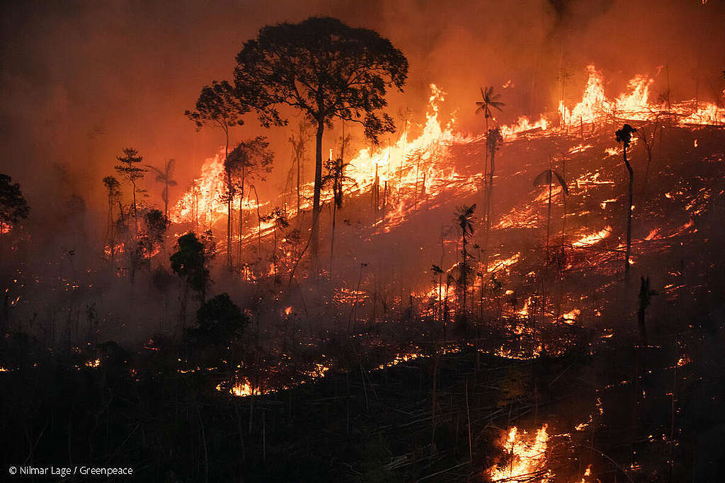 燃えるアマゾンの森林