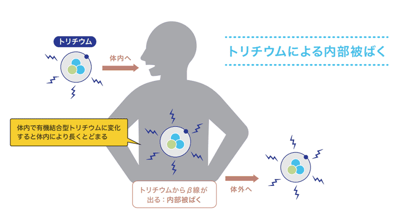 トリチウムによる内部被ばく