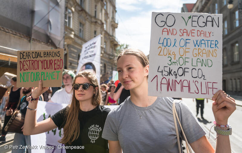 チェコで行われた気候デモ
