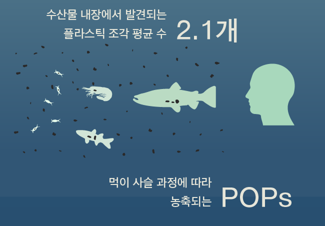 이상윤 작가의 작품 “모두의 해양 쓰레기 스프” 중 일부 / 크리에이티브 커먼즈 저작자표시-비영리-변경금지 4.0 국제 라이선스에 따라 이용할 수 있습니다.
