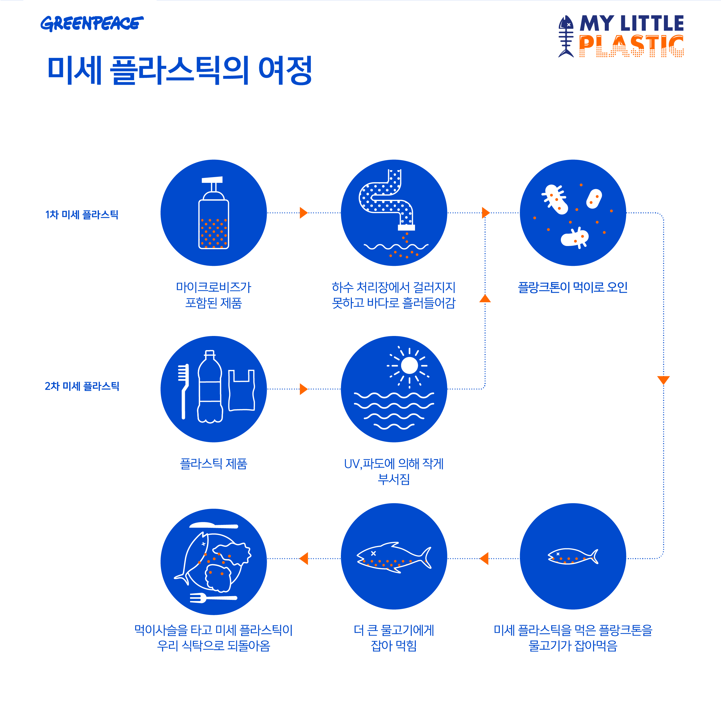 미세플라스틱의 여정