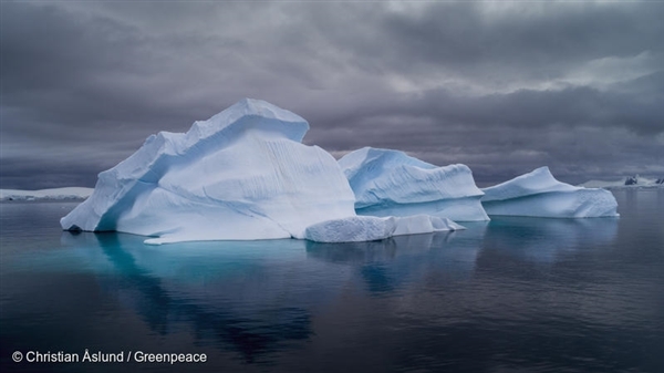 남극 반도 샬롯만의 빙산. 그린피스는 과학 연구를 진행하는 한편 남극에서 살고 있는 희귀 야생 생물들을 기록하여 남극해 보호구역 지정을 요구하기 위해 남극을 방문했습니다.