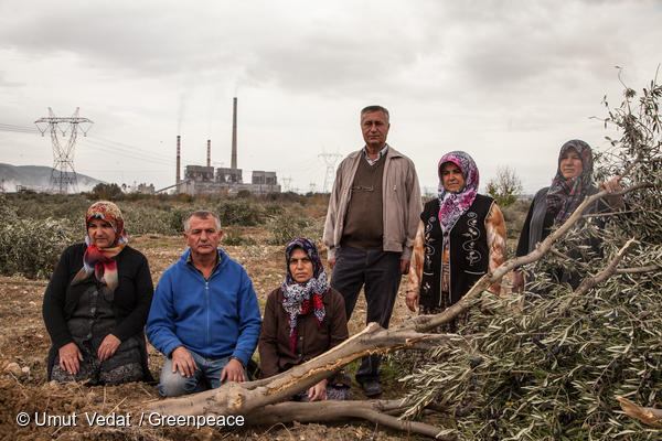 터키의 Yica마을 주민들이 석탄발전소 건설을 위해 불법적으로 벌목된 6000여 그루 나무를 증거로 보여주고 있다.